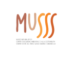 Logo MUSSS