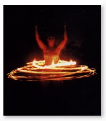 The Flamin' Butterflies