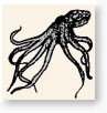 Ochtopus